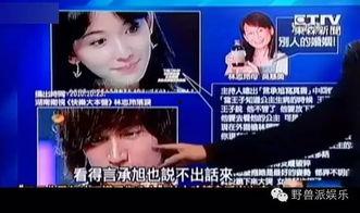 娱乐吃瓜蜀黍广告视频,揭秘娱乐圈幕后故事，带你领略明星幕后生活